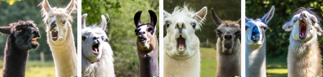 How to Ride a LLaMA: Getting Results From The Leaked AI-Powered LLMs